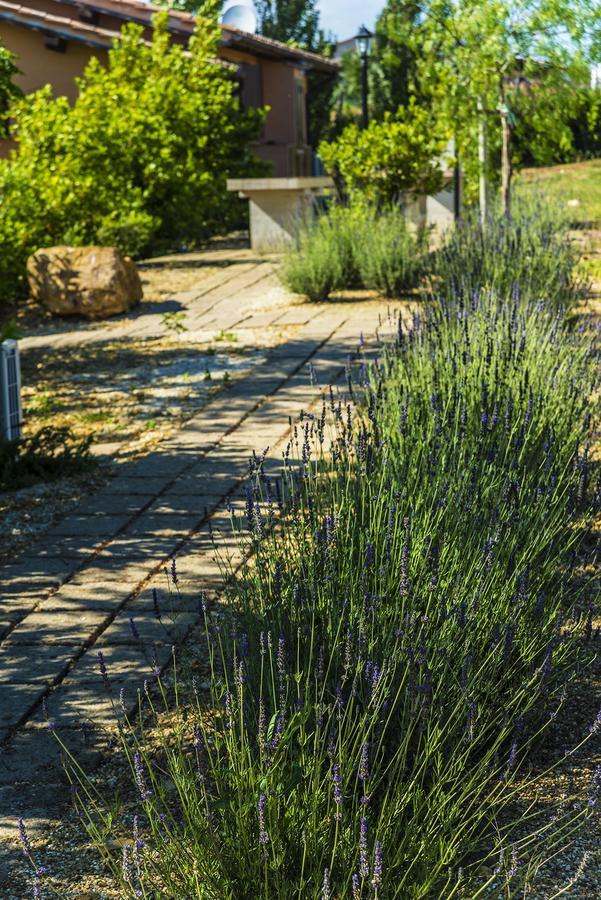 Agriturismo Poggio Di Maremma Pescia Romana Eksteriør bilde